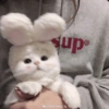 Kucing Lucu 1 22