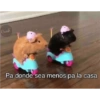 Pal grupo 5
