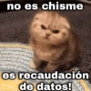 💫Chisme potente✨ 🐍 10