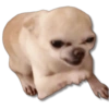 Perritos MooD #2 7