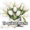 Tulipanes para toda ocasión 🌷 24