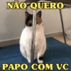 GATINHOS APOCALÍPTICOS 😸 17