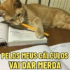 GATINHOS APOCALÍPTICOS 😸 7