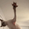 Random pt. 3 23