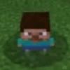 Minecraft Random 🌳🐝 8