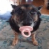 Shitpost 5