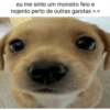 Bixos com frases 8