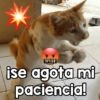 !#%&$ ise agota mi paciencia!