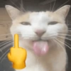 Mewing 7