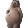 Aaaaaa 5