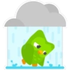 Duolingo (Pack N°2) 17