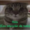 A ver tu cola 😎memes 16