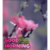 Good morning 18