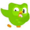 Duolingo (Pack N°2) 12