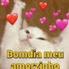 Bomdia meu amorzinho