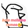 Flork animado 28