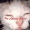 Perdón me dormí