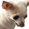 Perritos MooD #2 8