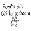 Bonito dia Cosita pechocha