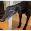 Side eye 26