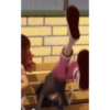 Miraculous 16