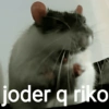 joder q riko