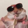 🐹Ratitas cutes🐹 5