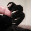Black Cat Mood 22