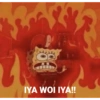 IYA WOI IYA!!