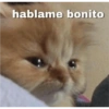 hablame bonito