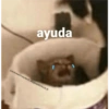 Memes Sad 8