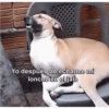 Ay que rico!! 8