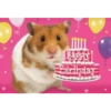 Inserte emojis de cumpleaños 17