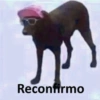 Nomas 19
