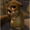 Memes cute😎 2