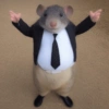 🤣Animalitos randoms🤣 13