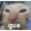 E o que  24