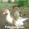 Memes Sad 6