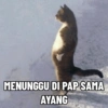 MENUNGGU DI PAP SAMA AYANG