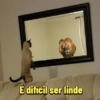 É difícil ser linde