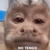 🙊🐒 Monitos 🐒🙈 6