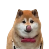Memes #15 7