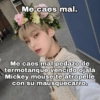 Miau 23