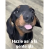 Memes xd 8