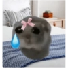 Hamster 😍 22