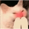 Kitty cats 2 17