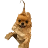 Random para whatsapp 🐶 15