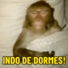 MACACOS 🙈 (COM TEXTO) 6
