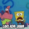 CO LARI ADA JAWA
