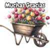 Tulipanes para toda ocasión 🌷 19